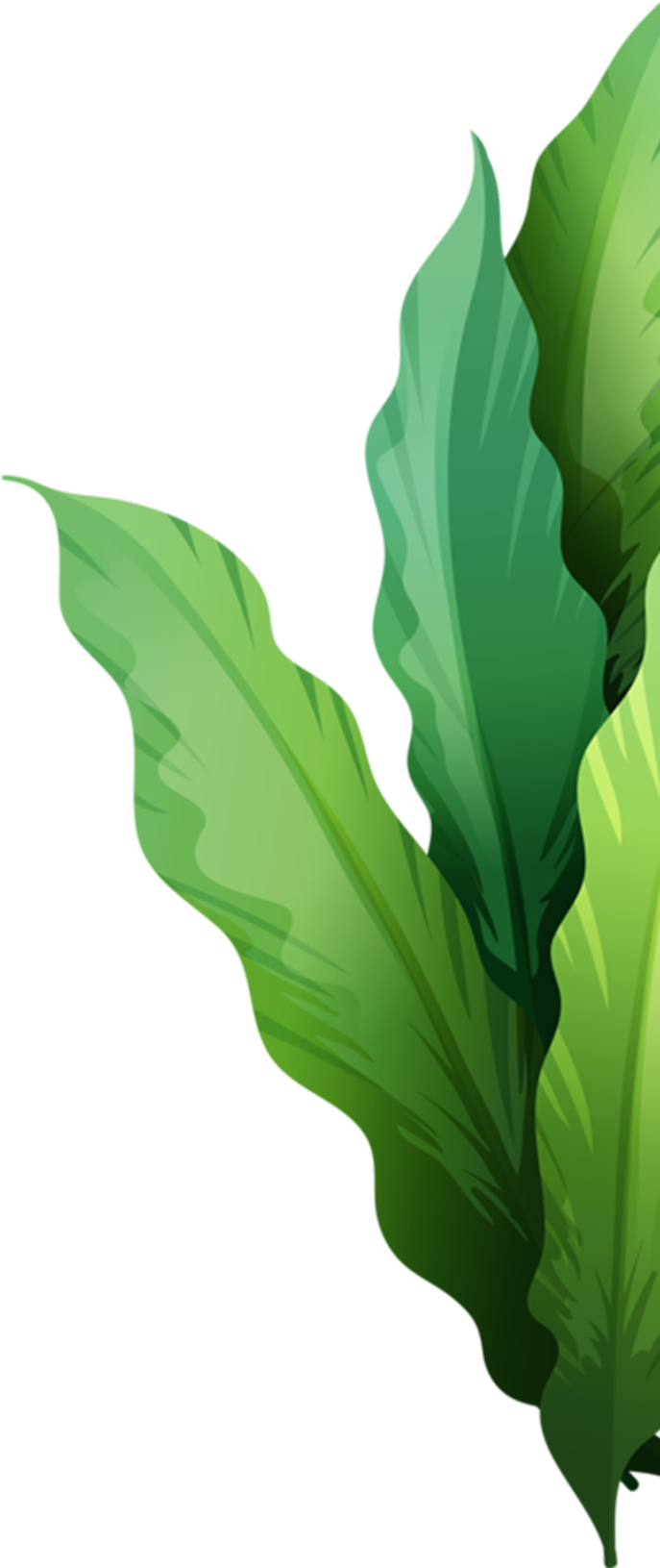 KFP Trading Co., LTD